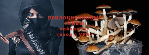 не бодяженный Волоколамск