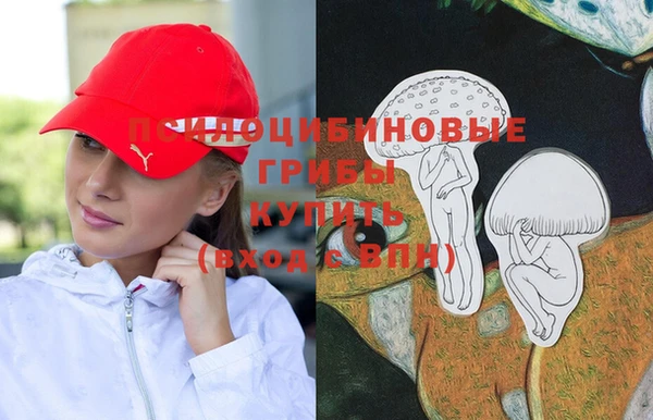 первитин Володарск